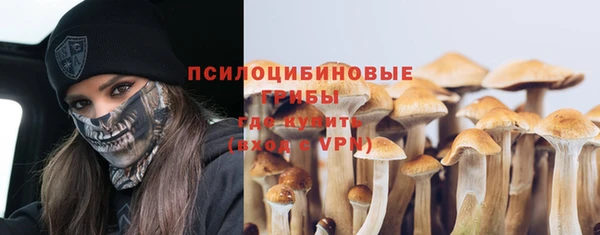 СК Верхний Тагил