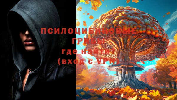 СК Верхний Тагил