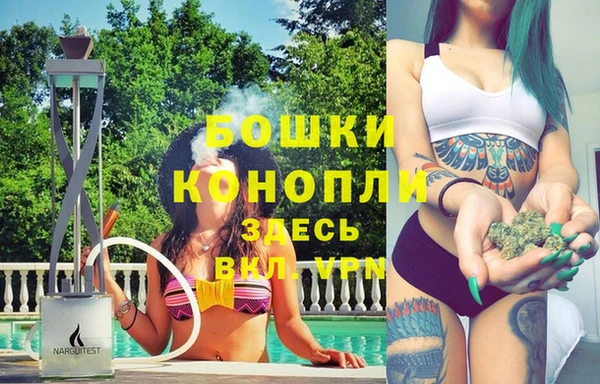 стаф Верея