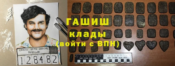 стаф Верея