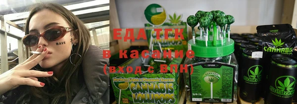 стаф Верея