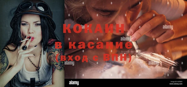 стаф Верея